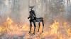 Horned ‘Threehalves’ Robot Unveiled For Wildfires And Toxic Disaster Sites