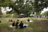 From jazz nights to waterfront movies: How to spend August in the District