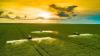 Michigan Agriculture Department announces new crop insurance scheme