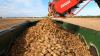 Irish agriculture worth €14bn after strong 2025