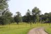 Bobbie Golden’s tour of Golden Acres Ranch