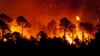 Copernicus launches Fire Emissions Watch tool for global wildfire data