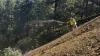 Scientists Develop Enzyme to Limit Environmental Impact of Mine Waste, Testing Underway