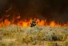 UN chief warns climate crisis “in overdrive” as El Niño threatens to fuel the fire