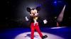 Things to do in Auckland this weekend: Disney On Ice, PAWGUST and more