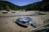 Ancient mammoth remains and a Nazi shipwreck: Europe’s shrinking rivers reveal past relics