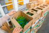 Cyclospora surge exposes growing pressure on the US food safety system