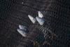 Drifting tuna fishing gear enter half of marine protected areas: study
