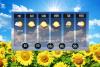 Sioux Falls Tri-State Weekend Forecast Looks Fantastic!