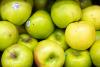 Staff turnover at coastal Maine food co-op leads to wasted crops for farmers