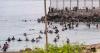 European Nations Move to Punish Spain Following That Massive Invasion by African Migrants