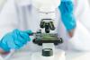 Science Students End Up Needing Antibiotics After They’re Exposed to Deadly Pathogen During Classroom Mix-Up