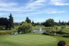 South Surrey golf course hosts fundraiser to move eagle, osprey nests