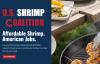 Industry groups launch US Shrimp Coalition to defend imports