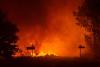 French wine industry could face struggle after fire damage ruins crops