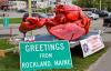 PETA planning live demonstration protest at Maine Lobster Festival