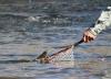 Colorado Parks and Wildlife asks anglers to limit fishing amid warm water temperatures, drought