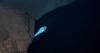 Scientists discover 'demon' cavefish tucked away in Alabama cave
