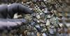 Building a critical minerals bridge with India-LAC partnership