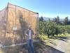 OSU Hood River field day shares latest tree fruit research