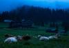 Hiking The Bavarian Alps And Norway’s Fjords, With A High-Mileage Body