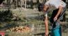 Apple traders, politicians in Kashmir urge authorities to prioritize fruit transportation on NH-44