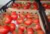 Armenian agricultural products and fish enter the Georgian market