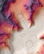 Archaeologists find hundreds of ancient glyphs in the Amazon