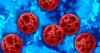 Sharp rise in cyclosporiasis cases in Canada linked to U.S. travel