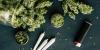 Cannabis use predicts worse clinical outcomes in newly psychotic patients