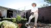 Sabrina Hahn: Gardening advice on fig trees, wattles, peppermint trees and coconuts
