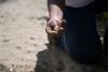Colorado farmers, ranchers wrestle with hurdles amid extreme drought conditions 