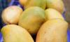 India exports Neelam, Totapuri mangoes to Maldives for 1st time