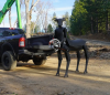 Viral Chainsaw Centaur Robot for Wildfires Runs on Joysticks, Not Algorithms