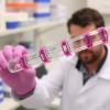 Researchers Challenge Overestimated Cyclization Efficiency in Small Restriction Enzyme-Digested DNA Fragments