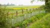 Farmers race to secure Capital Grants with 50% allocated on first day