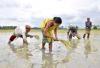 India approves $33 billion for farmer cash scheme