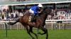 'I've backed seven winners so far at Glorious Goodwood – here's my best day four bets'