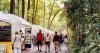 Mount Gretna Outdoor Art Show returns with more than 200 artists and a full weekend of events