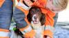 Search dog once abandoned for being too energetic retires after final Venezuelan earthquake mission