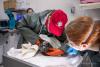 Harbor seal pups rescued along Cook Inlet being nursed back to health