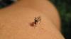 Maryland reports first West Nile case of 2026