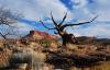 Over 330 Tribal Entities, Businesses, Faith Communities, Veterans, Science, and Conservation Organizations Sign Letter in Opposition to the Reduction of Grand Staircase-Escalante and Bears Ears National Monuments