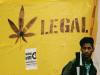 DEA Hearings on Cannabis Rescheduling Conclude