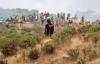 IN BRIEF: Calls for suspending Schengen Agreement with Spain and pressure on Morocco