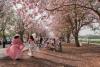 Ministry seeks B2.45bn for tourism