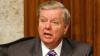 Fox News viewers slam Lindsey Graham's 'nepo baby' sister over Senate campaign video