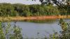 Oklahoma residents say ex-lawmaker's unpermitted dams cut lake inflow, and now wells run dry