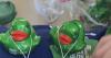 Green ducks appearing across western Pennsylvania to promote organ donation