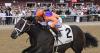 Local Knowledge edges Solitude Dude to win G2 Amsterdam